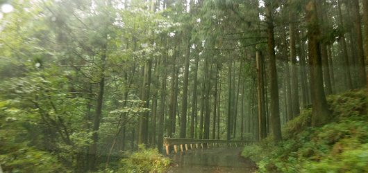 logw_title_7395_007