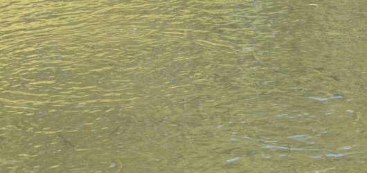 logw_title_7488_013