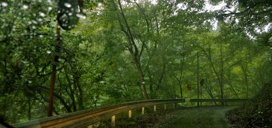 logw_title_7395_008