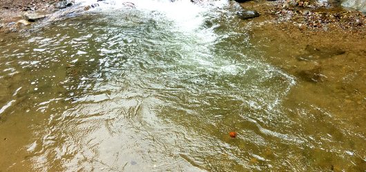 logw_title_7395_020