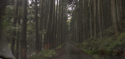 logw_title_7395_010